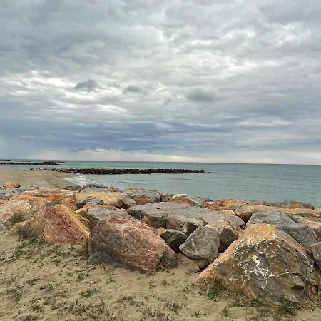 Port Barcares Vue Port Et Mer Le Barcarès Exteriör bild
