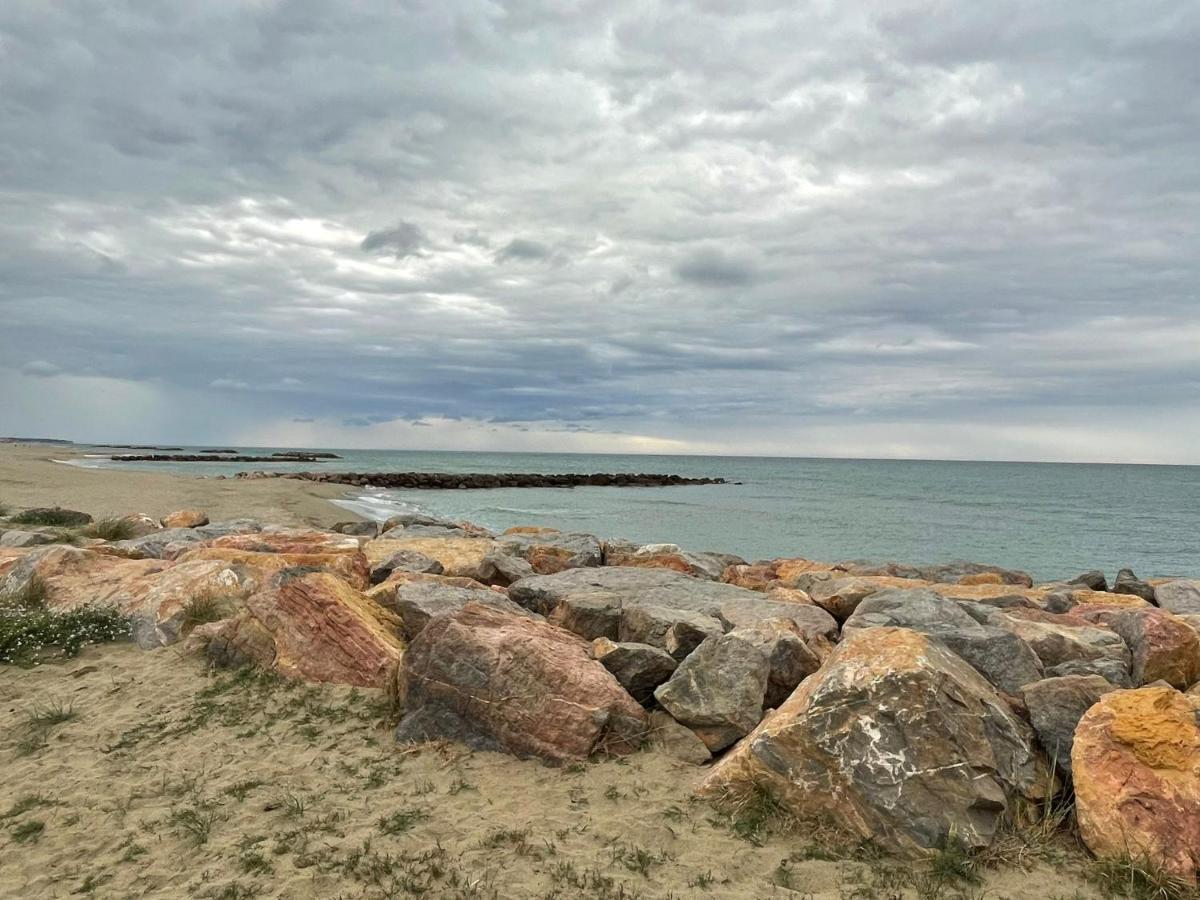 Port Barcares Vue Port Et Mer Le Barcarès Exteriör bild